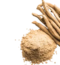 image slide